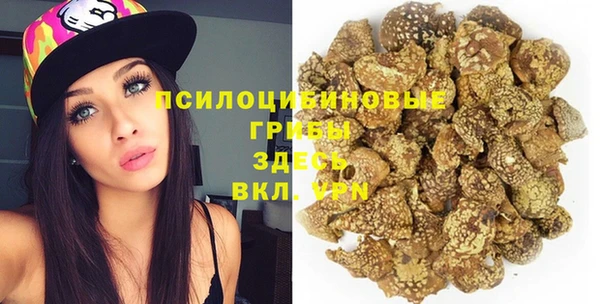 spice Абинск