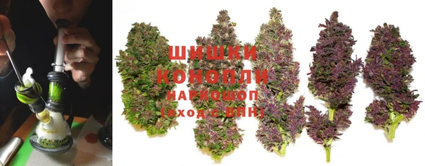 spice Абинск